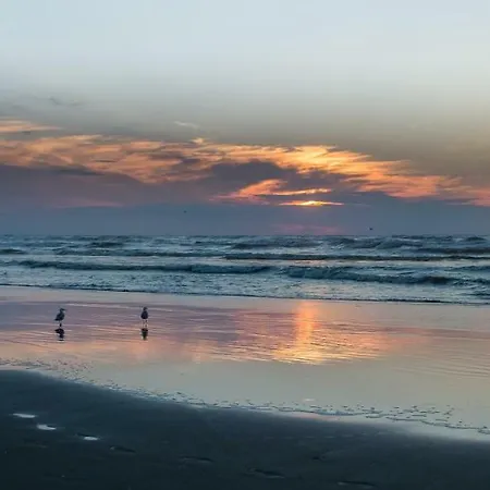 Hotel Prado Next Door 3*