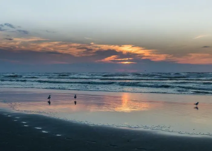 Hotel Prado Next Door 3*